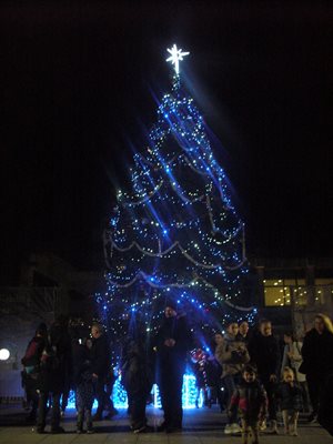 От няколко години община Стара Загора украсява празнично за Коледа и Нова година живо дърво, което расте край централния площад, вместо да сече елха от планината. 