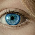 Очните лунички рядко са опасни, но за всеки случай се наблюдават