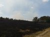 Пожар затвори път край Плевен, горят стотици декари (Видео)