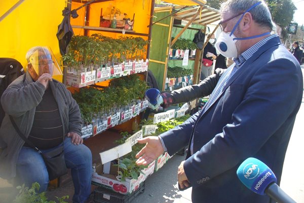 Главният държавен здравен инспектор доц. д-р Ангел Кунчев разговаря с търговец на разсад за домати по време на днешната си проверка на пазара в Стара Загора 
