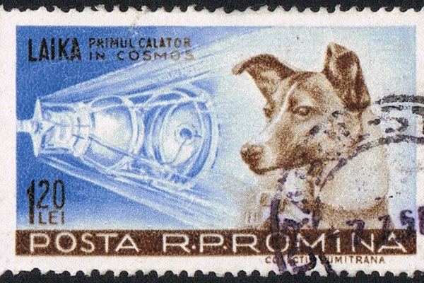 Кучето Лайка на пощенска марка в Румъния