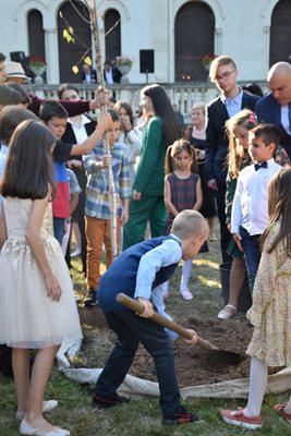 Децата засадиха бреза пред двореца.