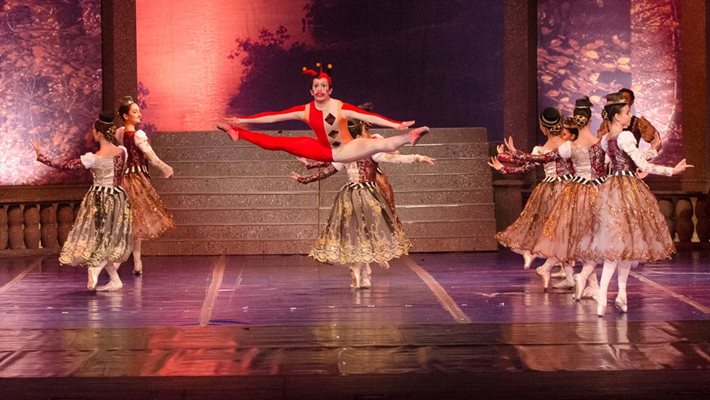 Фрагмент от балета "Лебедово езеро".
Снимка: Държавна опера - Стара Загора