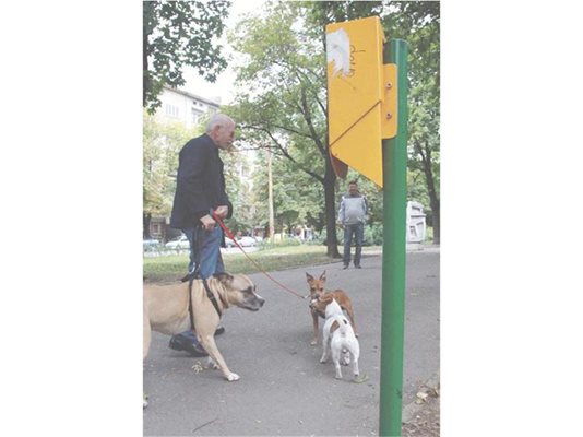 Ръждясали, надраскани и без торбички са кошчетата за кучешки фекалии в парка "Заимов".
