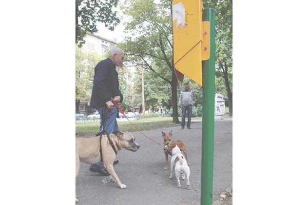 Ръждясали, надраскани и без торбички са кошчетата за кучешки фекалии в парка "Заимов".
