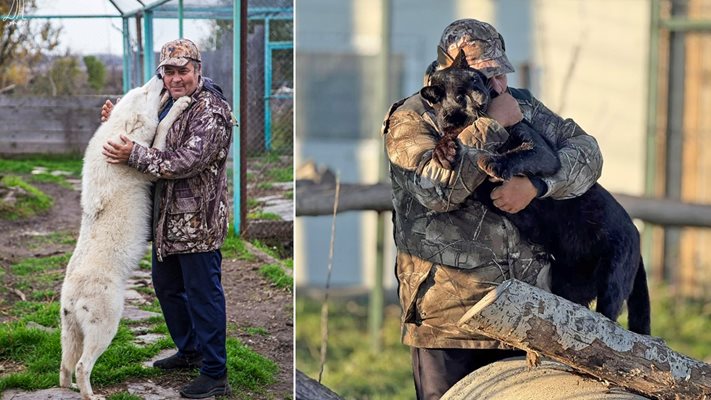 Кръстьо Дъбов от зоопарка в Бургас: Гледах вълци като бебета у дома