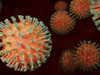 36 нови случая на COVID-19 инфекция в Монтанско