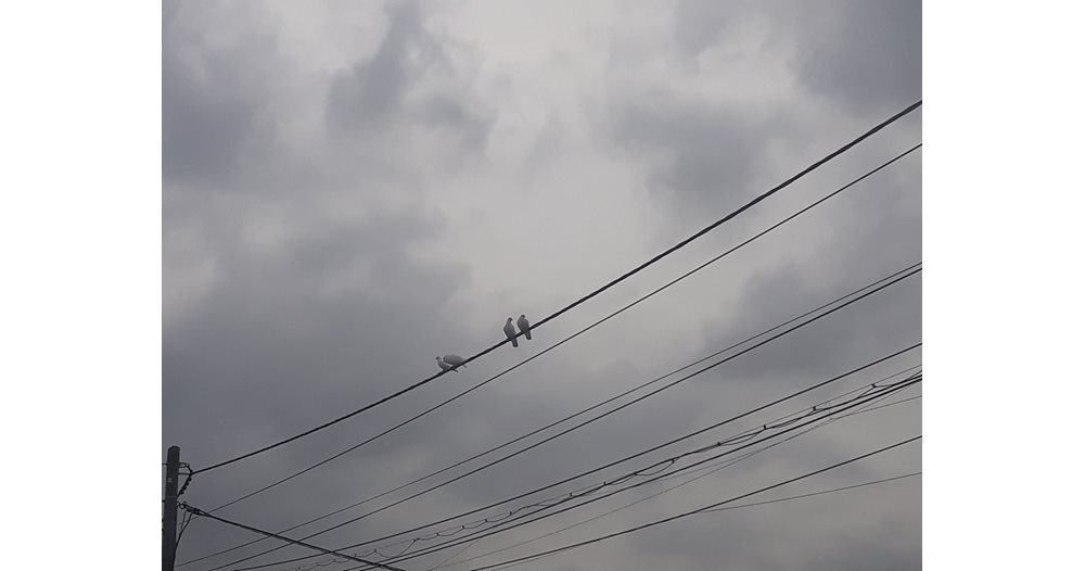 A thunderstorm cut off electricity in the southern districts of Sofia