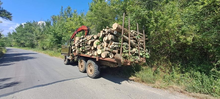 Служители на ЮЗДП предотвратиха незаконен превоз на дървесина. СНИМКА: ЮЗДП