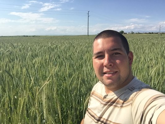 Като агроном Спас Пеев обяснява, че културата на снимката е тритикале - кръстоска между пшеница и ръж, която се отглежда за фураж. СНИМКИ: Личен архив
