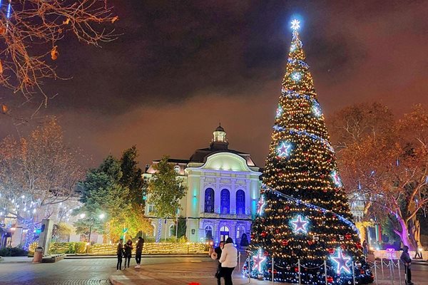 Коледната елха пред община Пловдив. Снимки: Анна Кадирова