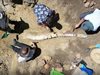 Намериха останки на плезиозавър на 100 млн. години в пустошта на Австралия
