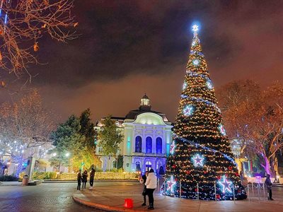 Коледната елха пред община Пловдив. Снимки: Анна Кадирова