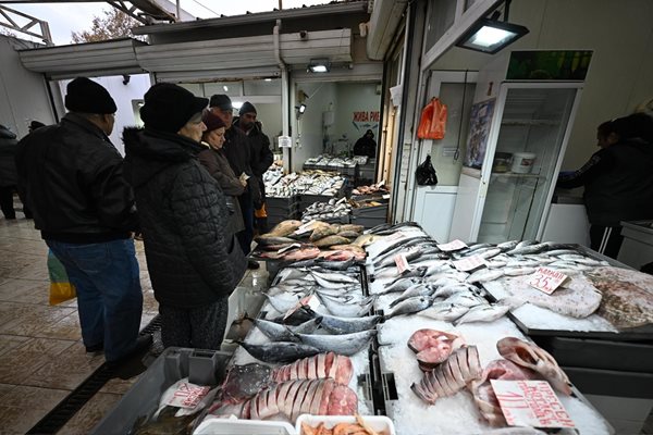 рибната борса във Варна
Снимка: Орлин Цанев
