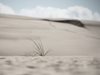 ООН: Пясъчните и прашните бури заплашват селското стопанство и общностите