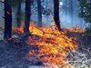 Треви и храсти горяха в Карнобатско, огънят не стигна до сгради