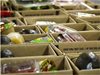 944 в Добричко получават 50 кг хранителни пакети за хора с увреждания