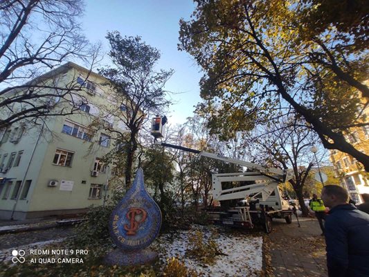 Разчистването на падналите клони и дървета продължава, но екипите не могат да смогнат.


Снимки: Район "Южен"