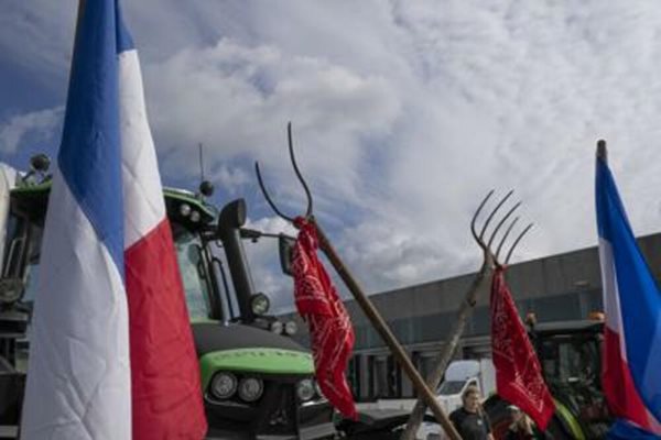 Протестът на нидерландските фермери блокира пътищата в страната.
