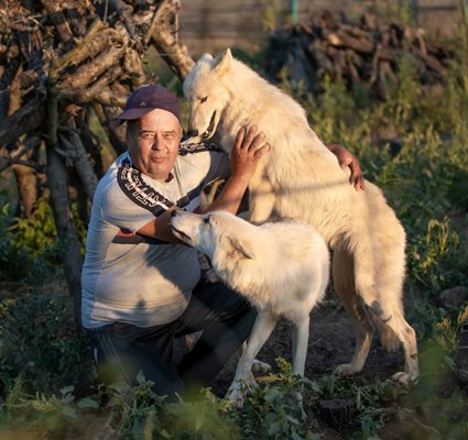 Кръстьо Дъбов гушка белите полярни вълци Марая и Аманда