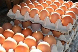 БАБХ затвори обекти и спря продажбата на 200 000 яйца по великденските проверки