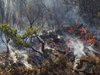 Български военнослужещи помогнаха в погасяване на пожарите в Черна гора
