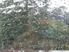 В Русе за 20 минути паднаха 14 л/кв. м дъжд