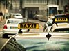 Таксиметровият шофьор, возил кацнали от Амстердам: Защо не им правят проби на летището?