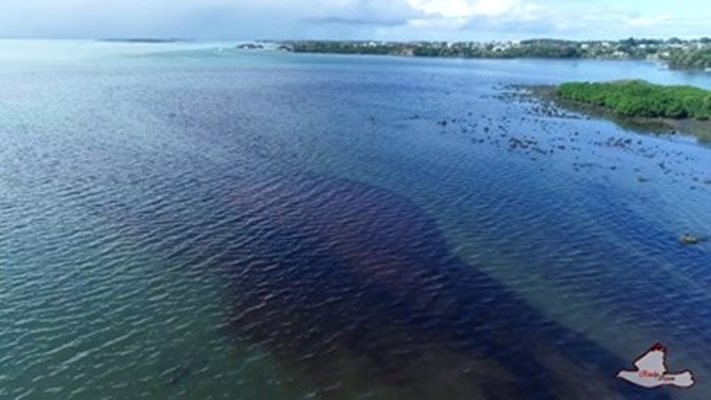 Разлив от петролни продукти край Мавриций. Снимки: Ройтерс