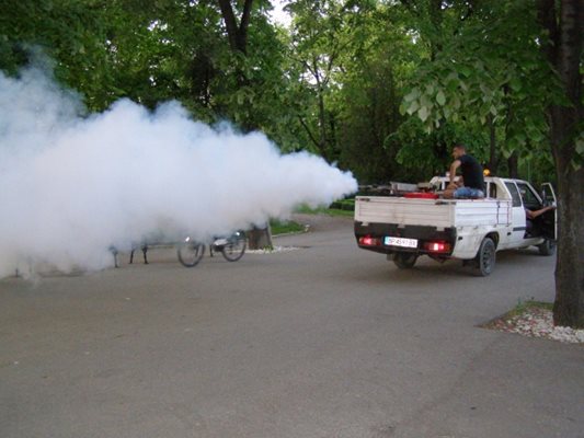 От общината уверяват, че не са спирали да пръскат, но влажното и горещо лято било рай за комарите.