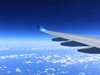 Полет Бургас-Лондон отменен, птица се блъснала в самолета