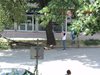 Огромен клон на дърво се отчупи в Благоевград (снимки)
