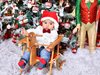 Дете под елхата: Константин-Кирил Терзийски на 6 месеца за първи път празнува Коледа