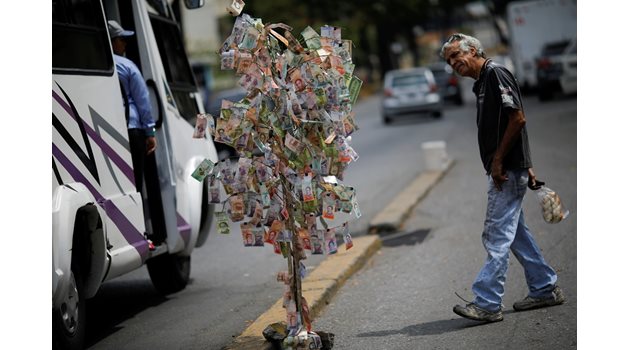 Венецуелец гледа дървото с пари, след като кризата ликвидира средствата на населението и в момента безработицата е над 44%.