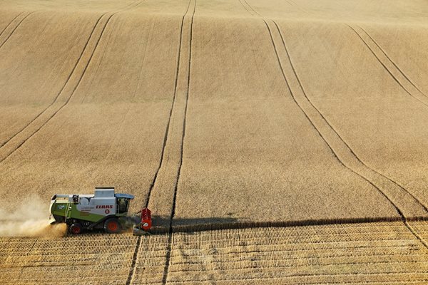 Европейската комисия разкрива допълнителна възможност за износа на украинската зърнена реколта. СНИМКА: АРХИВ