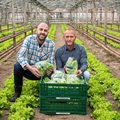 Семейство Добреви: Kaufland ни помага да предлагаме зеленчуци с изключително качество