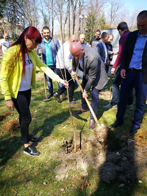 Депутатът Даниела Савеклиева засади дръвчета заедно с младежите от партията след края на семинара.