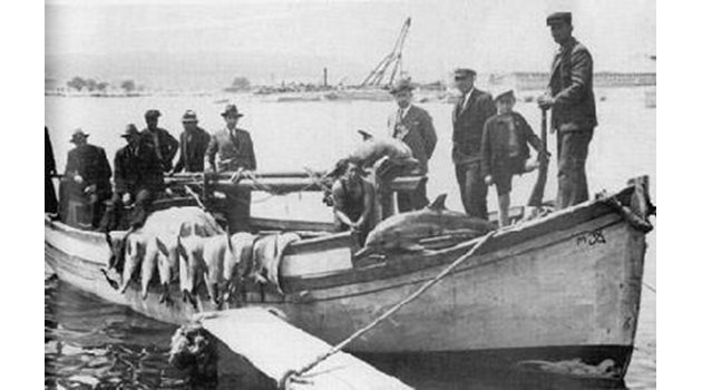 Антон Прудкин (трeтият от ляво) позира със свои приятeли слeд успeшeн лов на дeлфини.