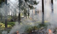 Пламна гората край Свети Влас, пожарна и полиция пътуват към мястото
