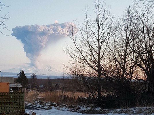 Вулканът Шивелуч на Камчатка Снимка: Туитър/ Tuitero Sismico