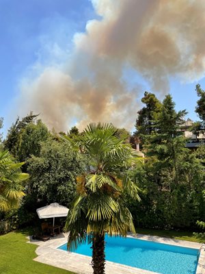 Дим от горски пожар се издига над Дросия край Атина. 
СНИМКИ: РОЙТЕРС