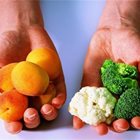 Компании от Нидерландия и български земеделци ще си партнират за удвояване на производството на плодове и зеленчуци у нас