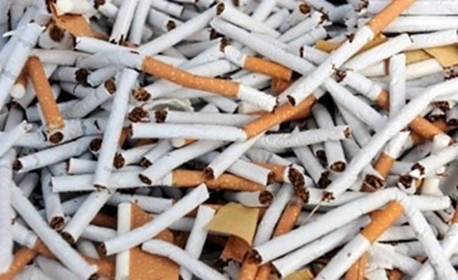 Контрабандни цигари са на стойност  871 125 лв. 

 СНИМКА: Архив