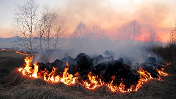 Три пожарни гасят пламнал житен блок край Тюркмен