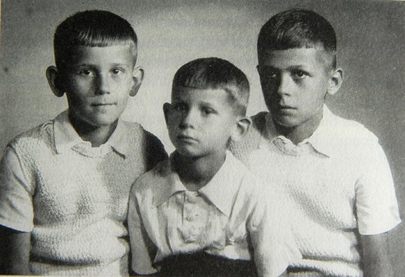 Братята Христо, Анани и Стефан Явашеви са от стар възрожденски род.