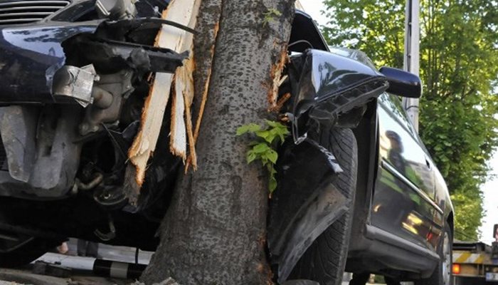 Мъж загина след удар в дърво във Видинско
Снимка: Авторът