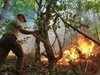724 горски служители с 206 автомобила са гасили пожари в Югозапада