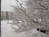 Два дни ваканция в Свищов 
заради снега и студа