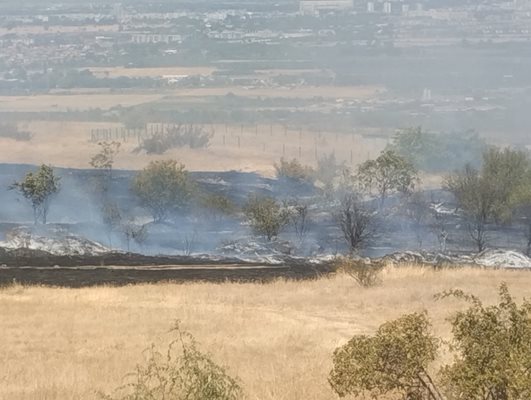 Сухите треви и храсти са като барут в жаркото време.