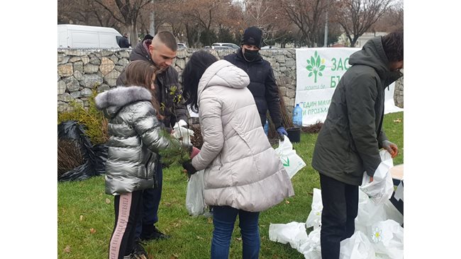 Hundreds wait for hours for free seedlings of apple, quince, chokeberry, maple in Plovdiv (photos)